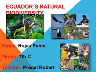 ECUADOR´S NATURAL 
BIODIVERSITY 
Name: Rojas Pablo 
Grade: 7th C 
Teacher: Prócel Robert 
 