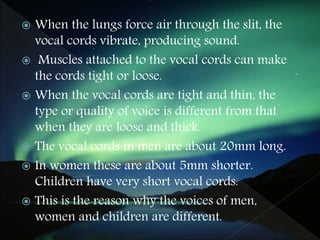  When the lungs force air through the slit, the
vocal cords vibrate, producing sound.
 Muscles attached to the vocal cords can make
the cords tight or loose.
 When the vocal cords are tight and thin, the
type or quality of voice is different from that
when they are loose and thick.
 The vocal cords in men are about 20mm long.
 In women these are about 5mm shorter.
Children have very short vocal cords.
 This is the reason why the voices of men,
women and children are different.
 