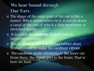  The shape of the outer part of the ear is like a
funnel. When sound enters in it, it travels down
a canal at the end of which a thin membrane is
stretched tightly.
 It is called the eardrum. It performs an
important function.
 The eardrum is like a stretched rubber sheet.
Sound vibrations make the eardrum vibrate .
 The eardrum sends vibrations to the inner ear.
From there, the signal goes to the brain. That is
how we hear.
 