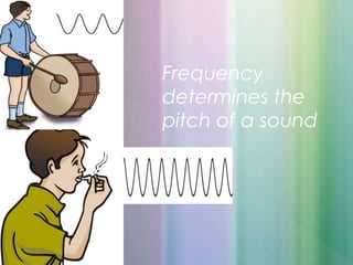 Frequency
determines the
pitch of a sound
 