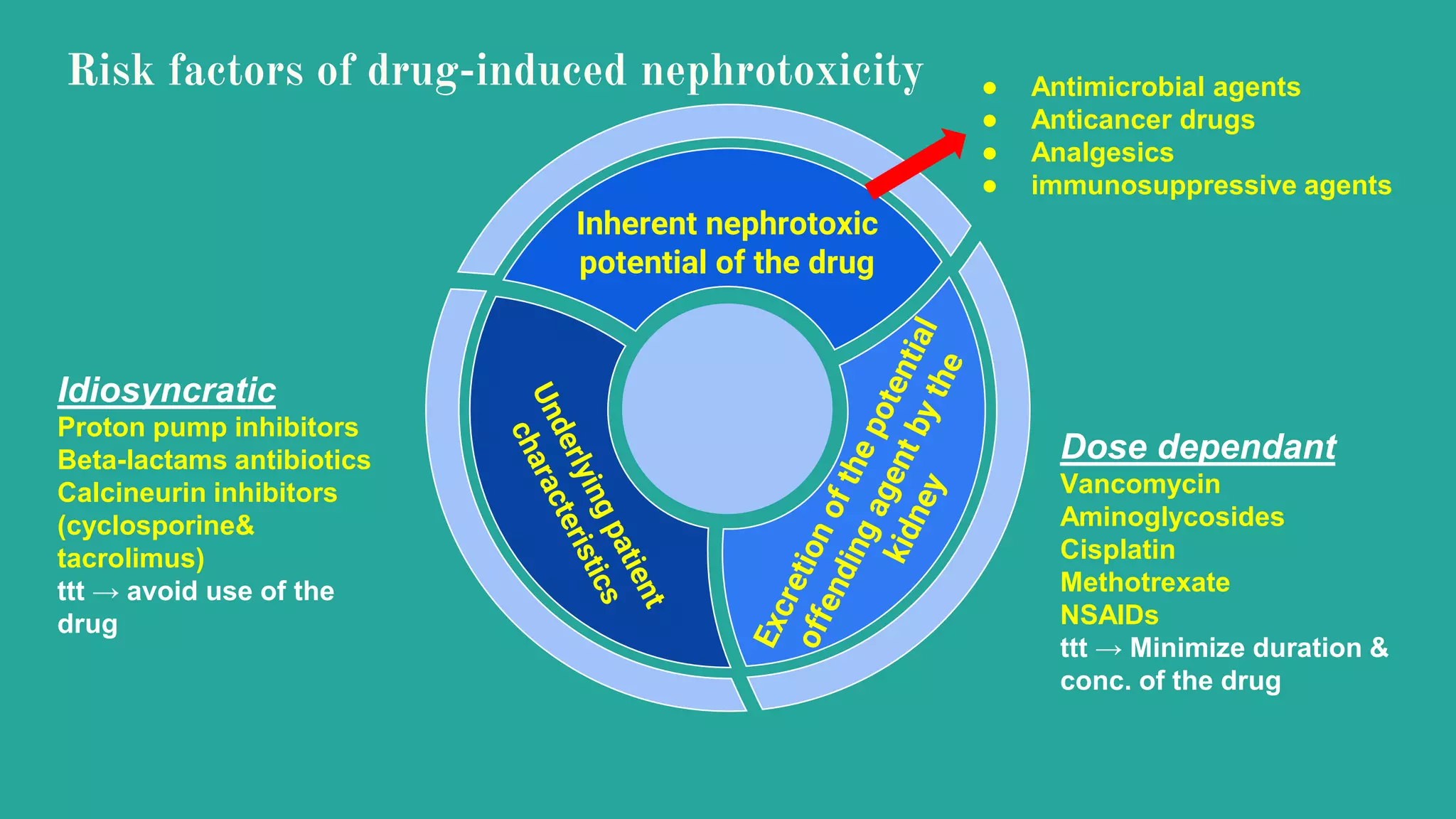 neurontin nephrotoxic