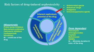 is gabapentin a nephrotoxic drug