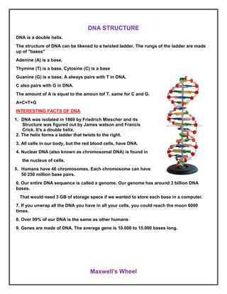 Dna Structures Science Project Science Project.pdf