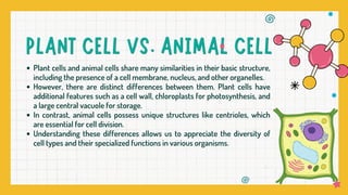 Plant cells and animal cells share many similarities in their basic structure,
including the presence of a cell membrane, nucleus, and other organelles.
However, there are distinct differences between them. Plant cells have
additional features such as a cell wall, chloroplasts for photosynthesis, and
a large central vacuole for storage.
In contrast, animal cells possess unique structures like centrioles, which
are essential for cell division.
Understanding these differences allows us to appreciate the diversity of
cell types and their specialized functions in various organisms.
 