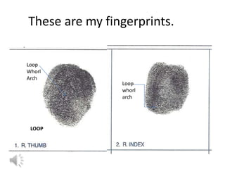 These are my fingerprints.

Loop
Whorl
Arch
                Loop
                whorl
                arch




 LOOP
 