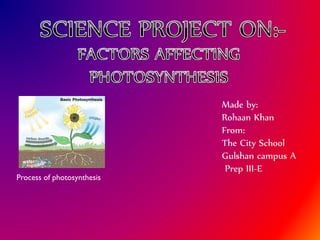 Process of photosynthesis

Made by:
Rohaan Khan
From:
The City School
Gulshan campus A
Prep III-E

 