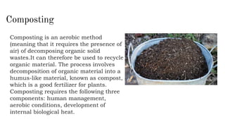 Solid Waste Management | PPTX