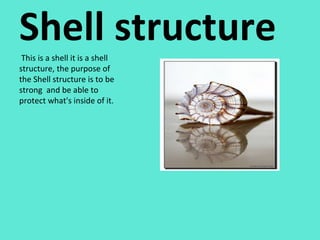 Shell structure This is a shell it is a shell structure, the purpose of the Shell structure is to be strong  and be able to protect what's inside of it. 