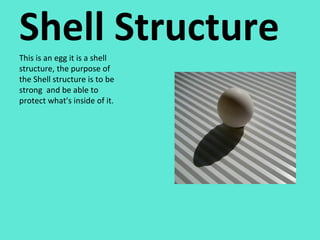 Shell Structure This is an egg it is a shell structure, the purpose of the Shell structure is to be strong  and be able to protect what's inside of it. 