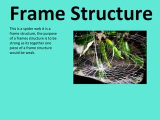 Frame Structure This is a spider web it is a frame structure, the purpose of a frames structure is to be strong as its together one piece of a frame structure would be weak. 