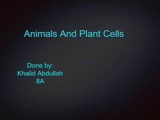 Animals And Plant Cells
Done by:
Khalid Abdullah
8A
 