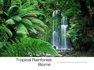 Tropical Rainforest   By: Madison Webb and Amanda Granger
            Biome
 
