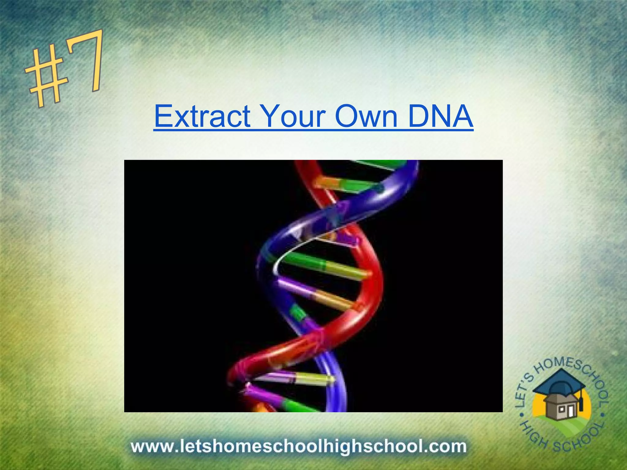 Extract Your Own DNA