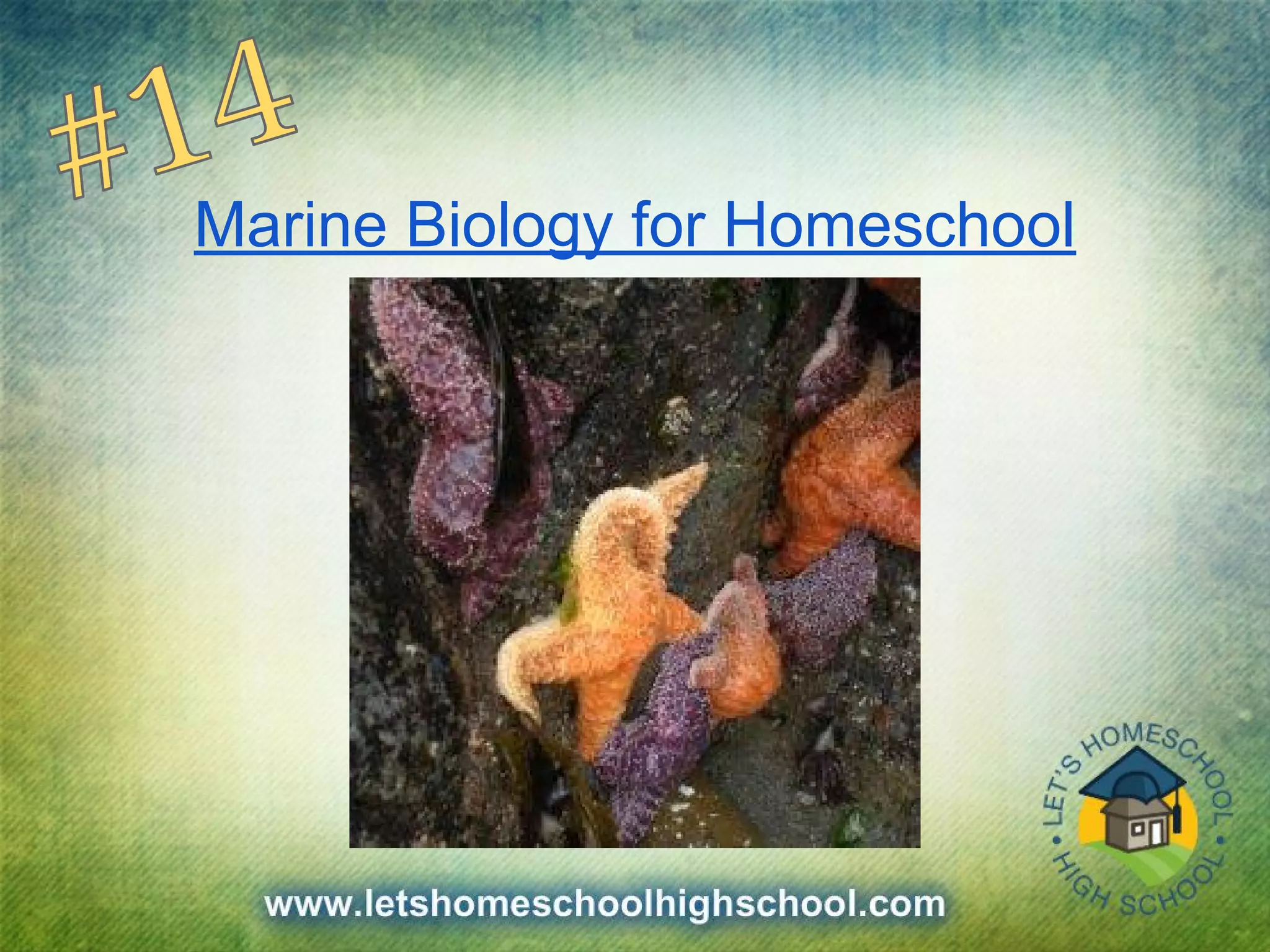 Marine Biology for Homeschool