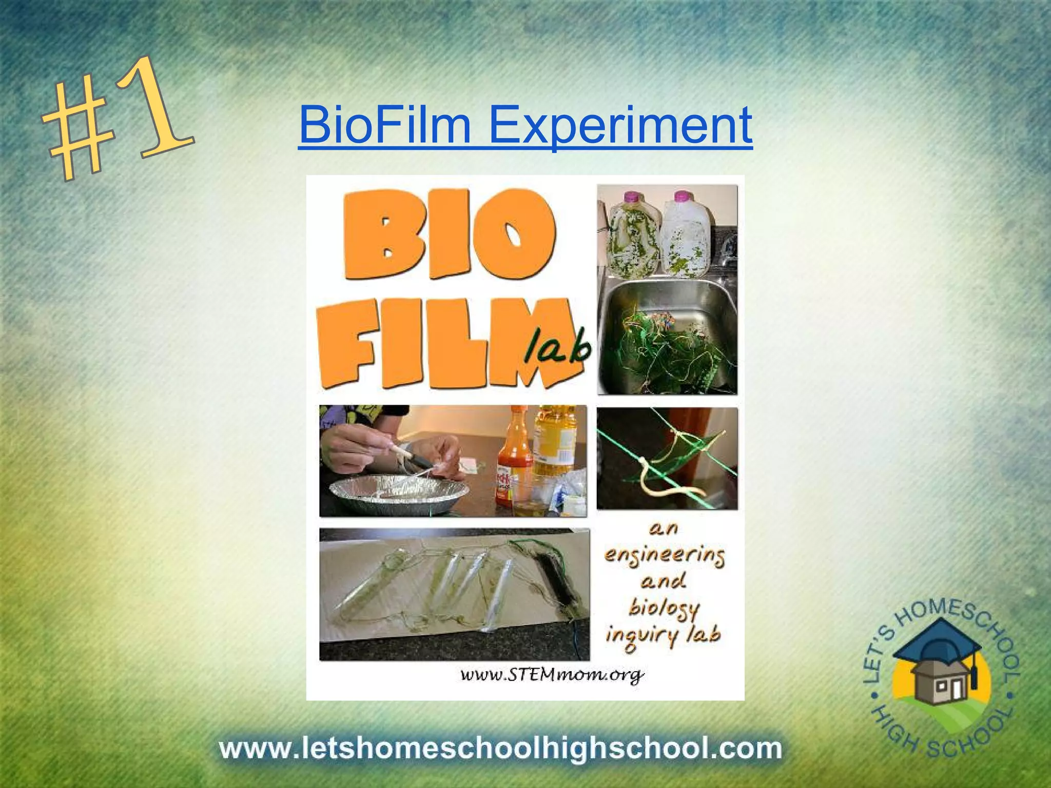BioFilm Experiment
