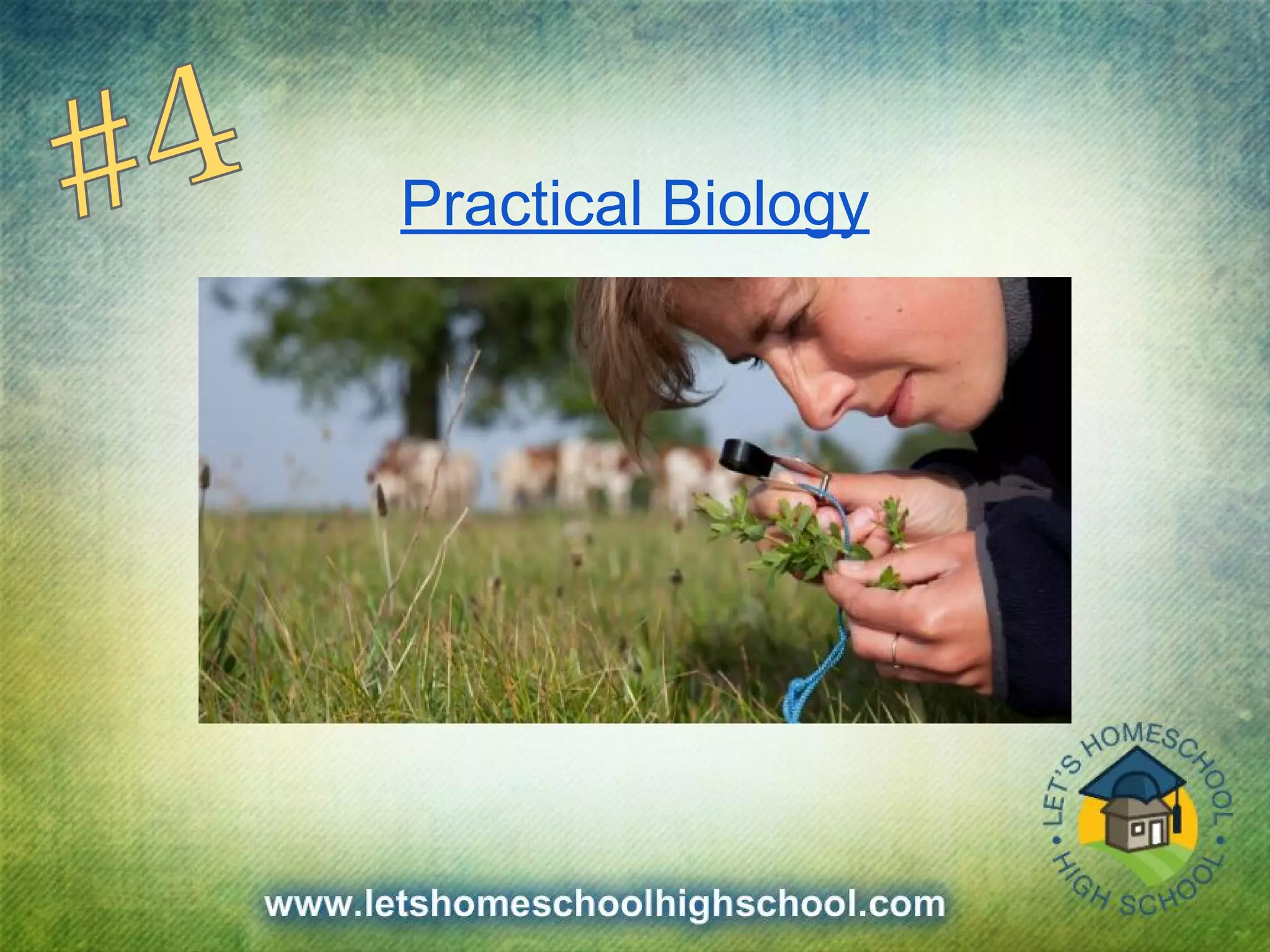 Practical Biology