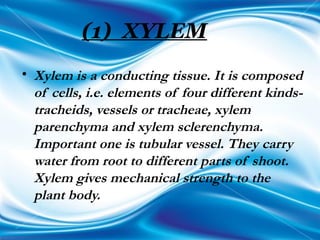 (1) XYLEM
• Xylem is a conducting tissue. It is composed
of cells, i.e. elements of four different kinds-
tracheids, vessels or tracheae, xylem
parenchyma and xylem sclerenchyma.
Important one is tubular vessel. They carry
water from root to different parts of shoot.
Xylem gives mechanical strength to the
plant body.
 