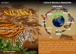 Science Savannah Energy flow and Earth’s tilt impacts | PDF