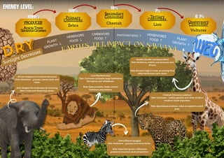 Savanah Ecosystem Python Science Savannah Energy flow and Earth’s tilt impacts | PDF