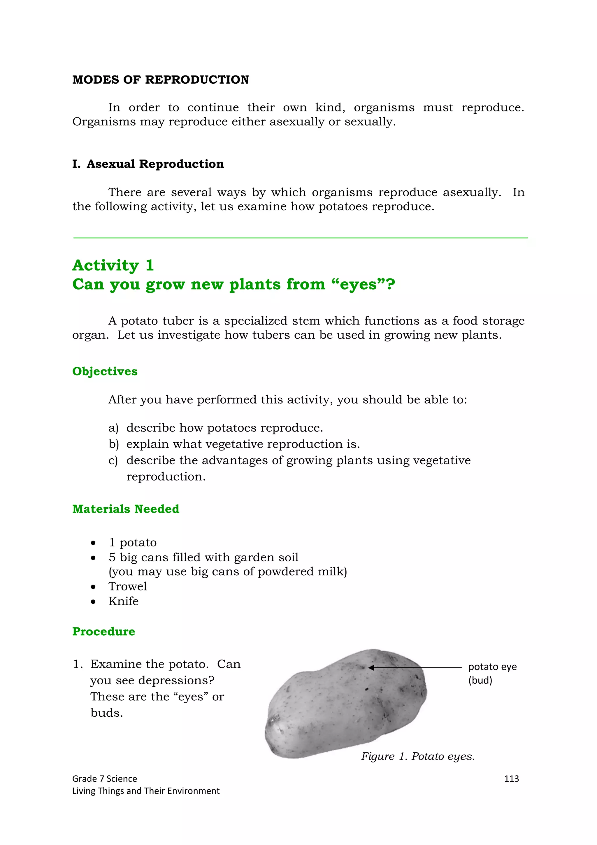 Grade 7 Science 113
Living Things and Their Environment
MODES OF REPRODUCTION
In order to continue their own kind, organisms must reproduce.
Organisms may reproduce either asexually or sexually.
I. Asexual Reproduction
There are several ways by which organisms reproduce asexually. In
the following activity, let us examine how potatoes reproduce.
Activity 1
Can you grow new plants from “eyes”?
A potato tuber is a specialized stem which functions as a food storage
organ. Let us investigate how tubers can be used in growing new plants.
Objectives
After you have performed this activity, you should be able to:
a) describe how potatoes reproduce.
b) explain what vegetative reproduction is.
c) describe the advantages of growing plants using vegetative
reproduction.
Materials Needed
1 potato
5 big cans filled with garden soil
(you may use big cans of powdered milk)
Trowel
Knife
Procedure
1. Examine the potato. Can
you see depressions?
These are the “eyes” or
buds.
Figure 1. Potato eyes.
potato eye
(bud)
 