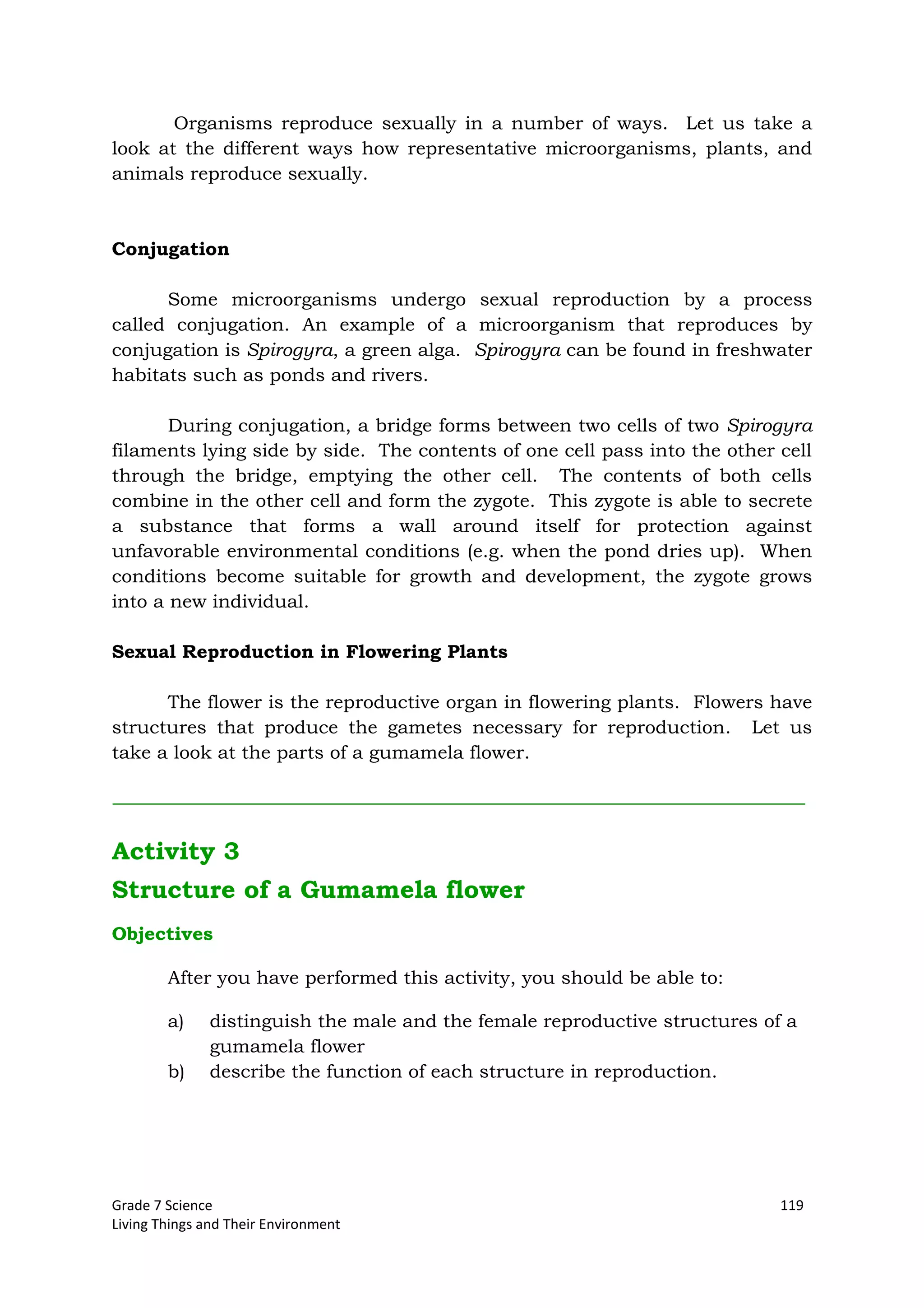 Grade 7 Science 119
Living Things and Their Environment
Organisms reproduce sexually in a number of ways. Let us take a
look at the different ways how representative microorganisms, plants, and
animals reproduce sexually.
Conjugation
Some microorganisms undergo sexual reproduction by a process
called conjugation. An example of a microorganism that reproduces by
conjugation is Spirogyra, a green alga. Spirogyra can be found in freshwater
habitats such as ponds and rivers.
During conjugation, a bridge forms between two cells of two Spirogyra
filaments lying side by side. The contents of one cell pass into the other cell
through the bridge, emptying the other cell. The contents of both cells
combine in the other cell and form the zygote. This zygote is able to secrete
a substance that forms a wall around itself for protection against
unfavorable environmental conditions (e.g. when the pond dries up). When
conditions become suitable for growth and development, the zygote grows
into a new individual.
Sexual Reproduction in Flowering Plants
The flower is the reproductive organ in flowering plants. Flowers have
structures that produce the gametes necessary for reproduction. Let us
take a look at the parts of a gumamela flower.
Activity 3
Structure of a Gumamela flower
Objectives
After you have performed this activity, you should be able to:
a) distinguish the male and the female reproductive structures of a
gumamela flower
b) describe the function of each structure in reproduction.
 