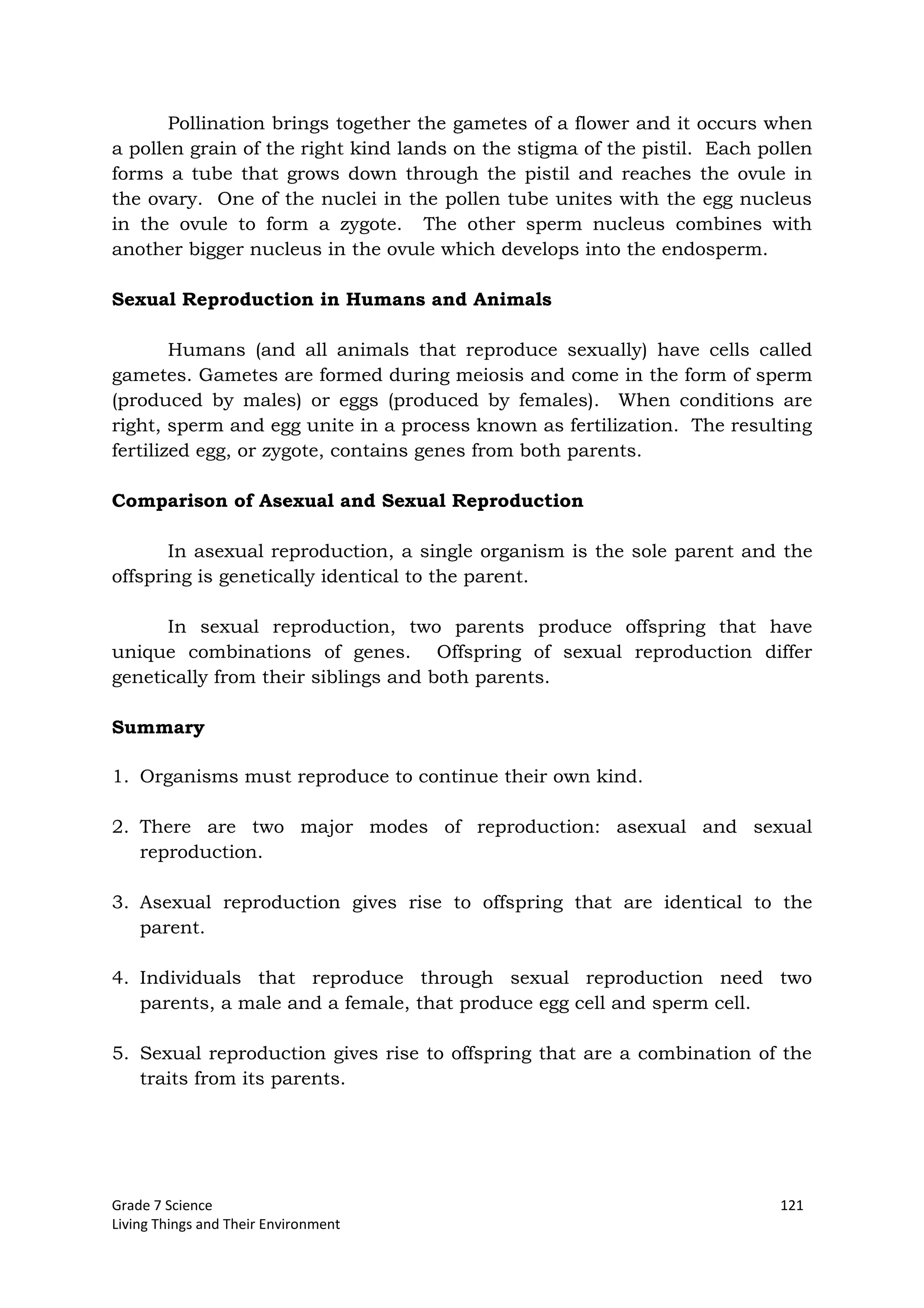 Grade 7 Science 121
Living Things and Their Environment
Pollination brings together the gametes of a flower and it occurs when
a pollen grain of the right kind lands on the stigma of the pistil. Each pollen
forms a tube that grows down through the pistil and reaches the ovule in
the ovary. One of the nuclei in the pollen tube unites with the egg nucleus
in the ovule to form a zygote. The other sperm nucleus combines with
another bigger nucleus in the ovule which develops into the endosperm.
Sexual Reproduction in Humans and Animals
Humans (and all animals that reproduce sexually) have cells called
gametes. Gametes are formed during meiosis and come in the form of sperm
(produced by males) or eggs (produced by females). When conditions are
right, sperm and egg unite in a process known as fertilization. The resulting
fertilized egg, or zygote, contains genes from both parents.
Comparison of Asexual and Sexual Reproduction
In asexual reproduction, a single organism is the sole parent and the
offspring is genetically identical to the parent.
In sexual reproduction, two parents produce offspring that have
unique combinations of genes. Offspring of sexual reproduction differ
genetically from their siblings and both parents.
Summary
1. Organisms must reproduce to continue their own kind.
2. There are two major modes of reproduction: asexual and sexual
reproduction.
3. Asexual reproduction gives rise to offspring that are identical to the
parent.
4. Individuals that reproduce through sexual reproduction need two
parents, a male and a female, that produce egg cell and sperm cell.
5. Sexual reproduction gives rise to offspring that are a combination of the
traits from its parents.
 