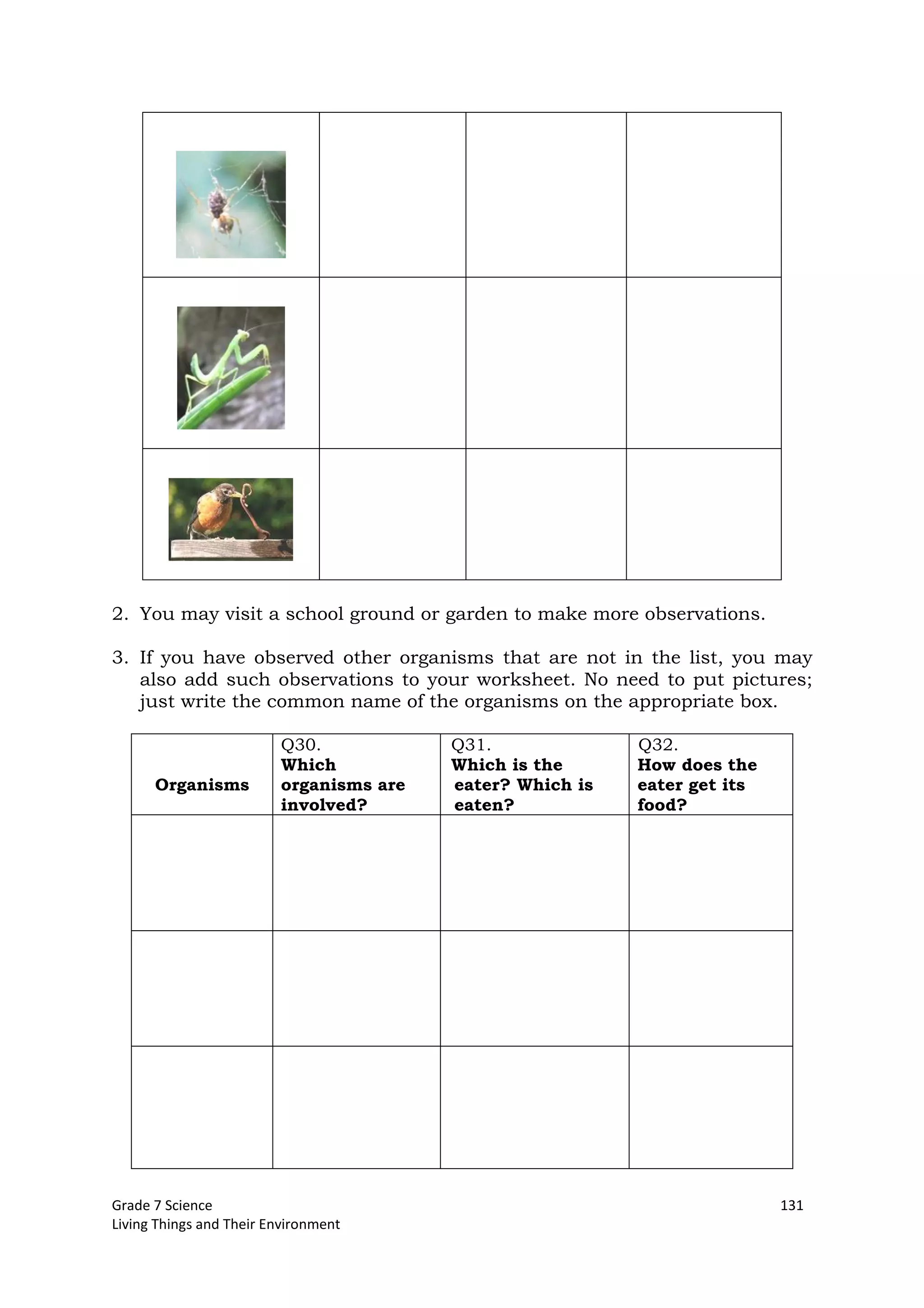 Grade 7 Science 131
Living Things and Their Environment
2. You may visit a school ground or garden to make more observations.
3. If you have observed other organisms that are not in the list, you may
also add such observations to your worksheet. No need to put pictures;
just write the common name of the organisms on the appropriate box.
Organisms
Q30.
Which
organisms are
involved?
Q31.
Which is the
eater? Which is
eaten?
Q32.
How does the
eater get its
food?
 