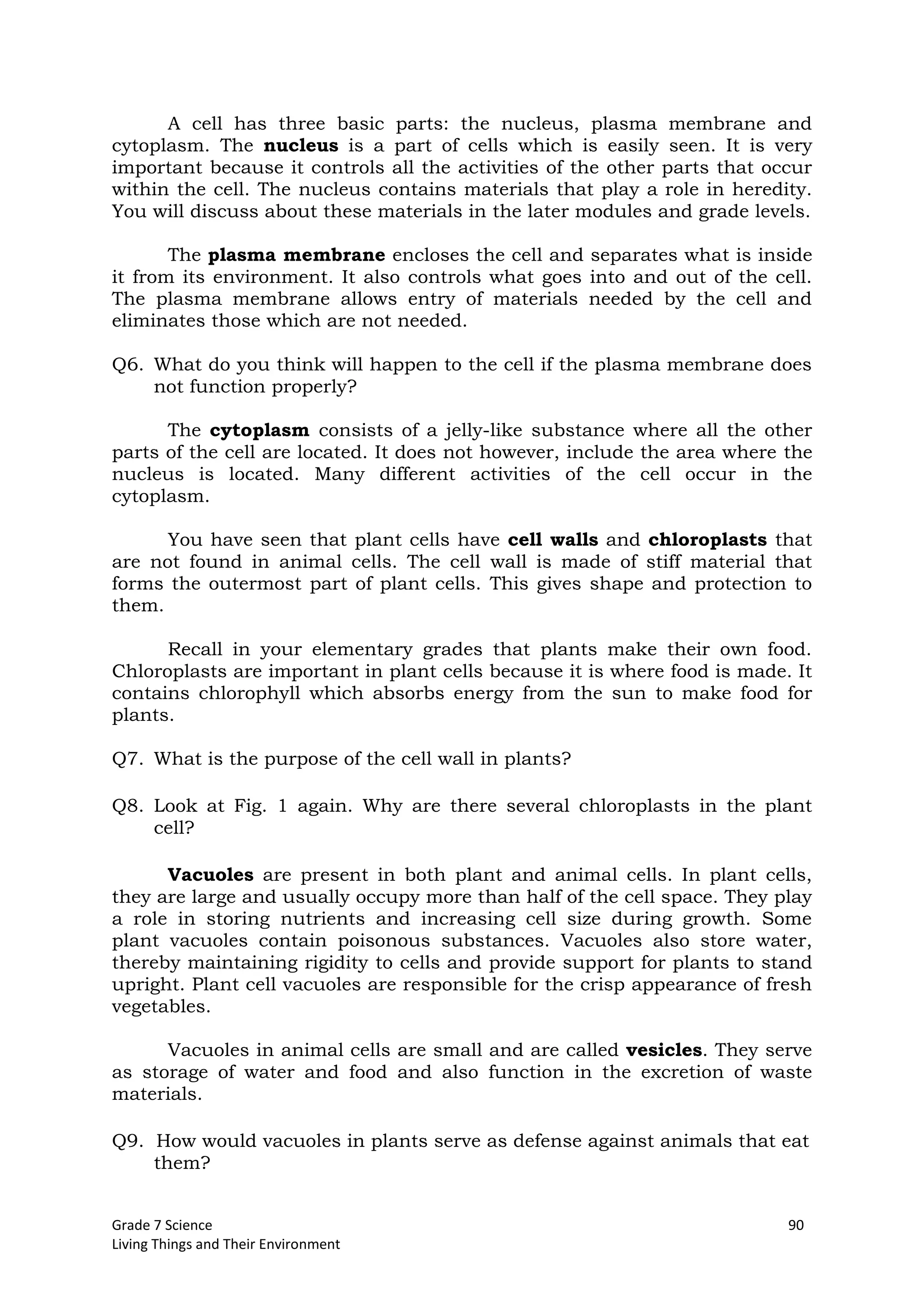 Grade 7 Science 90
Living Things and Their Environment
A cell has three basic parts: the nucleus, plasma membrane and
cytoplasm. The nucleus is a part of cells which is easily seen. It is very
important because it controls all the activities of the other parts that occur
within the cell. The nucleus contains materials that play a role in heredity.
You will discuss about these materials in the later modules and grade levels.
The plasma membrane encloses the cell and separates what is inside
it from its environment. It also controls what goes into and out of the cell.
The plasma membrane allows entry of materials needed by the cell and
eliminates those which are not needed.
Q6. What do you think will happen to the cell if the plasma membrane does
not function properly?
The cytoplasm consists of a jelly-like substance where all the other
parts of the cell are located. It does not however, include the area where the
nucleus is located. Many different activities of the cell occur in the
cytoplasm.
You have seen that plant cells have cell walls and chloroplasts that
are not found in animal cells. The cell wall is made of stiff material that
forms the outermost part of plant cells. This gives shape and protection to
them.
Recall in your elementary grades that plants make their own food.
Chloroplasts are important in plant cells because it is where food is made. It
contains chlorophyll which absorbs energy from the sun to make food for
plants.
Q7. What is the purpose of the cell wall in plants?
Q8. Look at Fig. 1 again. Why are there several chloroplasts in the plant
cell?
Vacuoles are present in both plant and animal cells. In plant cells,
they are large and usually occupy more than half of the cell space. They play
a role in storing nutrients and increasing cell size during growth. Some
plant vacuoles contain poisonous substances. Vacuoles also store water,
thereby maintaining rigidity to cells and provide support for plants to stand
upright. Plant cell vacuoles are responsible for the crisp appearance of fresh
vegetables.
Vacuoles in animal cells are small and are called vesicles. They serve
as storage of water and food and also function in the excretion of waste
materials.
Q9. How would vacuoles in plants serve as defense against animals that eat
them?
 