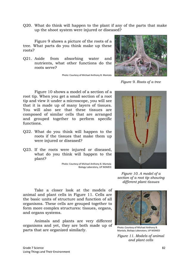 K TO 12 GRADE 7 LEARNING MATERIAL IN SCIENCE (Q1Q2)