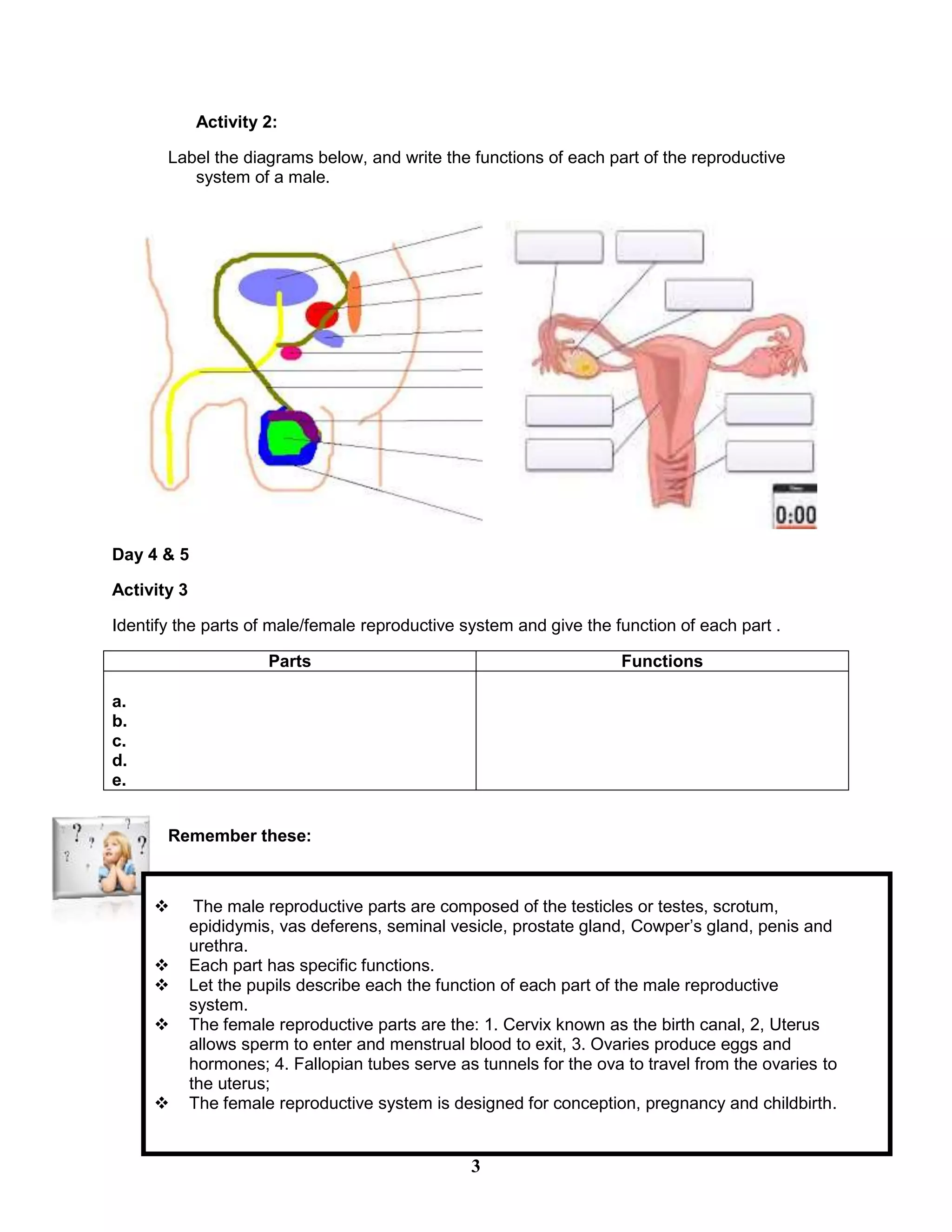 Activity 2:
Label the diagrams below, and write the functions of each part of the reproductive
system of a male.
Day 4 & 5
Activity 3
Identify the parts of male/female reproductive system and give the function of each part .
Parts Functions
a.
b.
c.
d.
e.
Remember these:
 The male reproductive parts are composed of the testicles or testes, scrotum,
epididymis, vas deferens, seminal vesicle, prostate gland, Cowper’s gland, penis and
urethra.
 Each part has specific functions.
 Let the pupils describe each the function of each part of the male reproductive
system.
 The female reproductive parts are the: 1. Cervix known as the birth canal, 2, Uterus
allows sperm to enter and menstrual blood to exit, 3. Ovaries produce eggs and
hormones; 4. Fallopian tubes serve as tunnels for the ova to travel from the ovaries to
the uterus;
 The female reproductive system is designed for conception, pregnancy and childbirth.
3
 