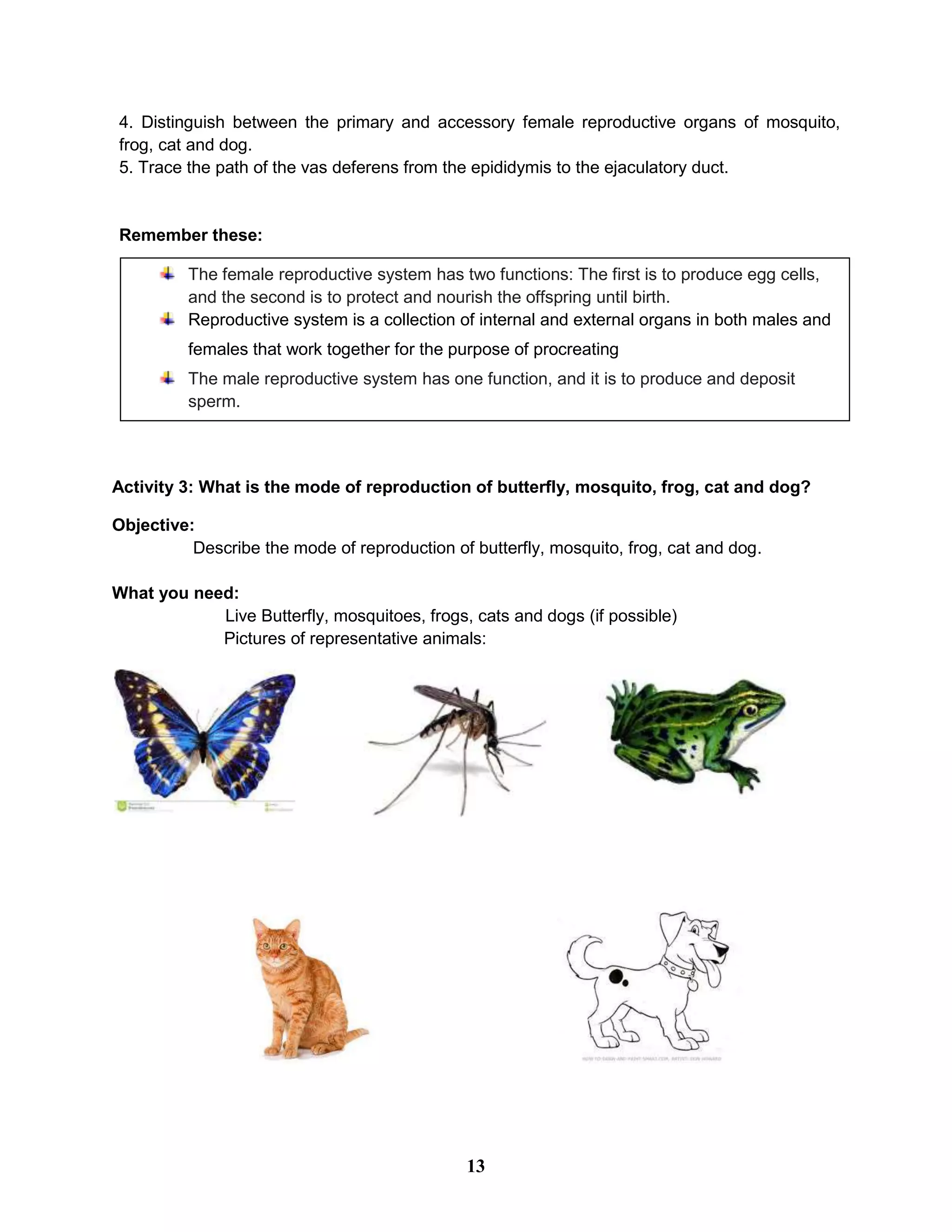 4. Distinguish between the primary and accessory female reproductive organs of mosquito,
frog, cat and dog.
5. Trace the path of the vas deferens from the epididymis to the ejaculatory duct.
Remember these:
Activity 3: What is the mode of reproduction of butterfly, mosquito, frog, cat and dog?
Objective:
Describe the mode of reproduction of butterfly, mosquito, frog, cat and dog.
What you need:
Live Butterfly, mosquitoes, frogs, cats and dogs (if possible)
Pictures of representative animals:
The female reproductive system has two functions: The first is to produce egg cells,
and the second is to protect and nourish the offspring until birth.
Reproductive system is a collection of internal and external organs in both males and
females that work together for the purpose of procreating
The male reproductive system has one function, and it is to produce and deposit
sperm.
13
 