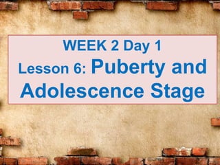 WEEK 2 Day 1
Lesson 6: Puberty and
Adolescence Stage
 