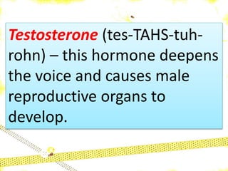 Testosterone (tes-TAHS-tuh-
rohn) – this hormone deepens
the voice and causes male
reproductive organs to
develop.
 