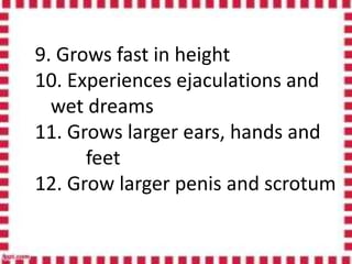9. Grows fast in height
10. Experiences ejaculations and
wet dreams
11. Grows larger ears, hands and
feet
12. Grow larger penis and scrotum
 