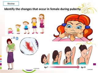 WEEK 2 Day 5
Lesson 10: Show Changes
that occur during
Puberty through creative
activities
Review
Identify the changes that occur in female during puberty.
 
