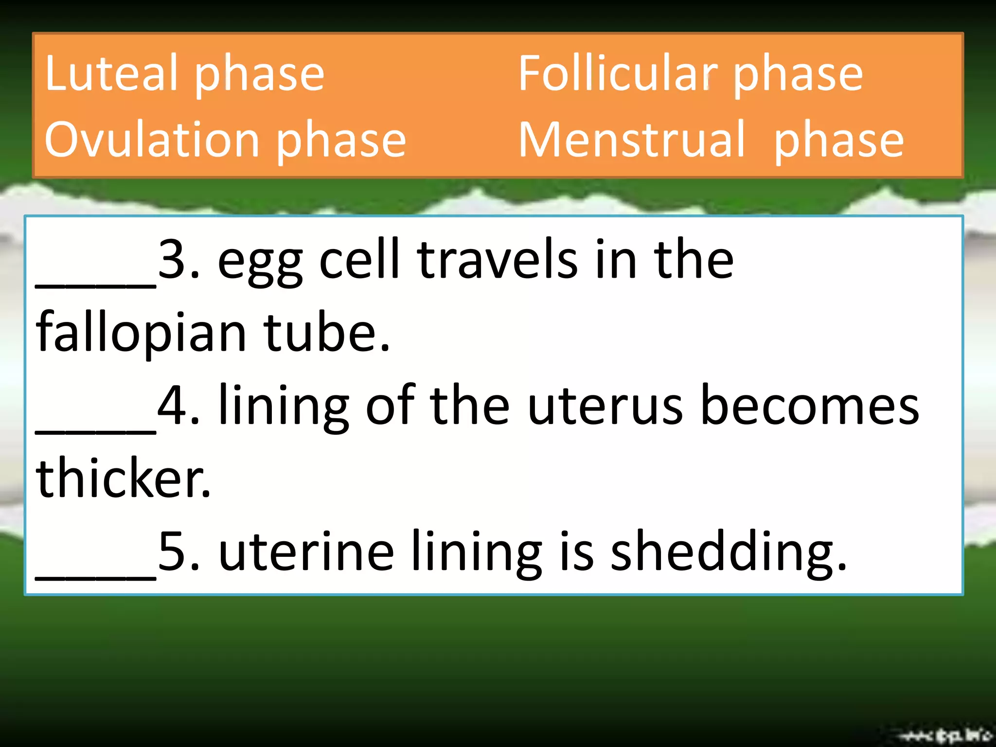 Luteal phase Follicular phase
Ovulation phase Menstrual phase
____3. egg cell travels in the
fallopian tube.
____4. lining of the uterus becomes
thicker.
____5. uterine lining is shedding.
 
