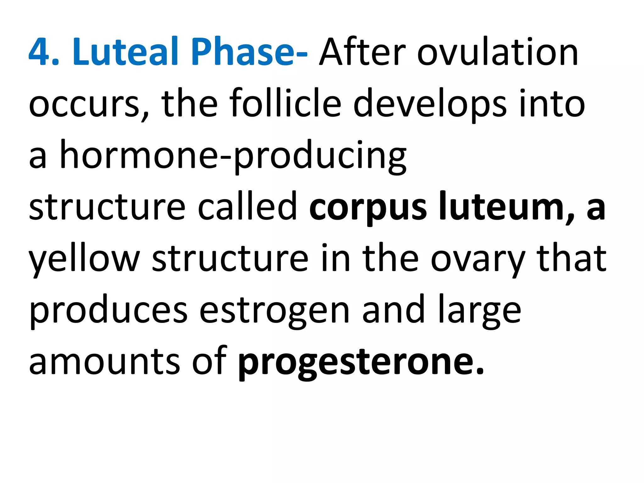 4. Luteal Phase- After ovulation
occurs, the follicle develops into
a hormone-producing
structure called corpus luteum, a
yellow structure in the ovary that
produces estrogen and large
amounts of progesterone.
 
