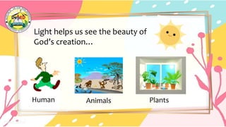 Light helps us see the beauty of
God’s creation…
Plants
Animals
Human
 