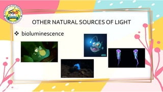 OTHER NATURAL SOURCES OF LIGHT
 bioluminescence
 