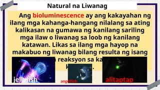 SCIENCE Q3 WEEK3 Pinagmumulan ng Liwanag | PPTX