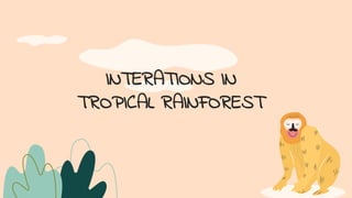 INTERATIONS IN
TROPICAL RAINFOREST
 