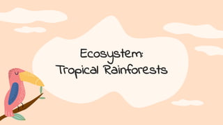 Ecosystem:
Tropical Rainforests
 