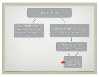 Science Questions | PDF