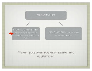 Science Questions | PDF