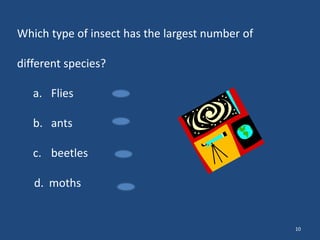 Which type of insect has the largest number of

different species?
a. Flies
b. ants
c. beetles
d. moths

10

 