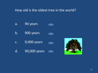 How old is the oldest tree in the world?

a.

90 years

b.

900 years

c.

9,000 years

d.

90,000 years

12

 