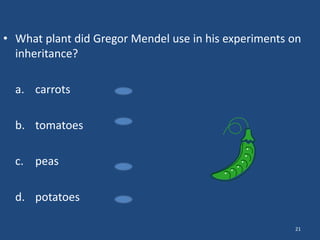 • What plant did Gregor Mendel use in his experiments on
inheritance?
a. carrots
b. tomatoes
c. peas
d. potatoes
21

 