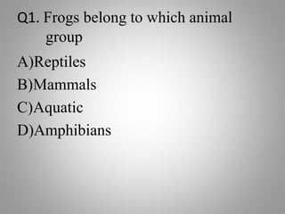 Q1. Frogs belong to which animal
group
A)Reptiles
B)Mammals
C)Aquatic
D)Amphibians
 