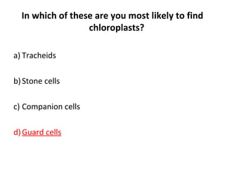 In which of these are you most likely to find
chloroplasts?
a) Tracheids
b)Stone cells
c) Companion cells
d)Guard cells
 