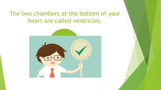 The two chambers at the bottom of your
heart are called ventricles.
 